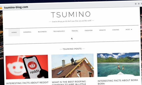 https://tsumino-blog.com/